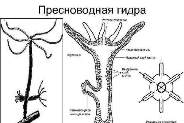 Kraken даркнет маркет